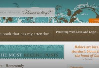 Amanda Harbaugh: Honest to Blog